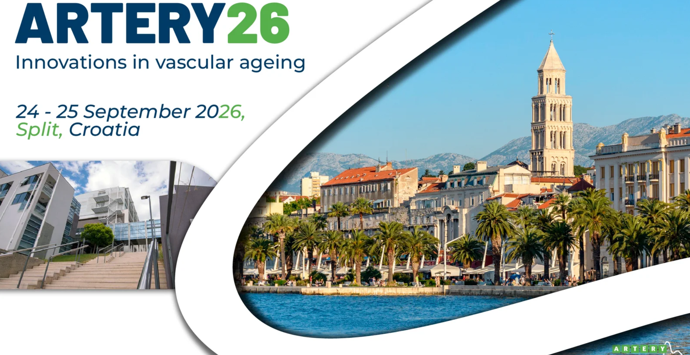 Artery26